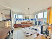 2 PIECES TERRASSE PLEIN CIEL - PARIS 17EME ARRONDISSEMENT HONORE DE BALZAC - 47 m2 - VENDU