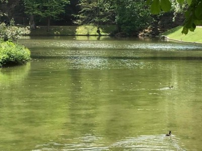 APPARTEMENT T3 A VENDRE - PARIS 19EME ARRONDISSEMENT - 66.85 m2 - 793�500�&euro;